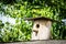 Birdhouse. Wooden house for birds. Birdhouse on a background of green foliage