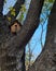 Birdhouse wooden in the park on the village in autumn