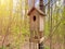 A Birdhouse in the Woods. Birdhouse on a tree. A nest box, nestbox, birdhouses or a birdbox, bird box. Birdhouse with a drinking