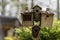 Birdhouses and a bird feeder