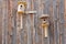 Birdhouses and pointer on the wooden wall of barn