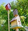 Birdhouses in the Summertime