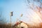 Birdhouses in the village in early spring