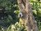 Birdhouses were placed in the trees for birds to nest.