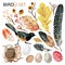 Birdlife autumn set with hand-drawn spotted feathers, black bird, eggs, decorative branches, nest, oak leaves, acorns