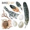 Birdlife set with hand-drawn spotted feathers, bird, eggs, branch, nest