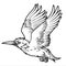 Birds Annimal Wing Drawing Vector icon logo vintage  Illustration 1