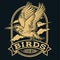 Birds Annimal Wing Drawing Vector icon logo vintage  Illustration 1