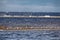 Birds on the background of the sea terminal