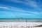 Birds on a beautiful beach in Holbox island in Yucatan peninsula Mexico