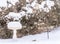 Birds on bird feeder in blowing snow storm, birdbath full of snow