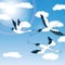 Birds - blue sky & clouds - Illustration