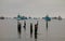 birds and boats in a misty day