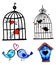 birds cages Valentine Day watercolor illustration sketch