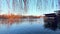 Birds on City Park Lake at dusk, Budapest, Hungary