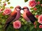 Birds couple lover cuddle each other in garden, rose bush. Generative AI