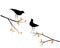 Birds couple silhouette on branch, vector. Birds in love, illustration. Wall decals, artwork, Wall art. Two birds on three isolate