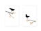 Birds couple silhouette on branch, vector. Birds in love, illustration. Wall decals, artwork, Wall art. Two birds on three isolate