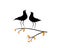 Birds couple silhouette on branch, vector. Birds in love, illustration. Wall decals, artwork, Wall art. Two birds on tree