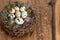 Birds eggs in nest over wooden background