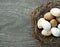 Birds eggs in nest on wooden background