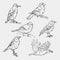Birds engraved style. Stamp, seal. Simple sketch.