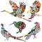 Birds with ethnic ornaments