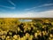 Birds eye view of autumn forest and a small lake. Aerial colorful forest scene in autumn with orange and yellow foliage.