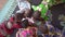 Birds Eye View On Five Small African Children Lying On The Carpet Making a Design On a Piece of Paper