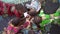 Birds Eye View On Five Small African Children Lying On The Floor Coulouring a Design