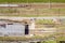 Birds eye view of passenger commuter train on a railway track