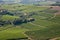birds eye view of sprawling vineyard patchwork
