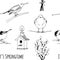 Birds, feeder and willow twig set, hand drawn collection isolated on white background