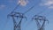 Birds flock on electric pylon and fly off as hawk flies close