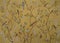 Birds and flowers on gold background