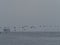 Birds fly in line in front of cargo ship at sea, Ballestas islands