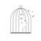 Birds fly out of the cage. Freedom concept