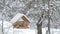 Birds fly up to the feeder and take the grain and fly away, snow on trees, falling snowflakes for the birdhouse