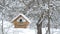 Birds fly up to the feeder and take the grain and fly away, snow on trees, falling snowflakes for the birdhouse