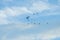 Birds flying in blue sky