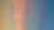 birds flying on a colorful evening sky with crescent moon view vertical video