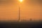 Birds flying in front of high Electricity poles on a foggy morning