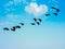 Birds Flying Through Heart Shaped Cloud In The Sky