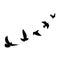 Birds flying line black background