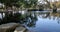 Birds flying over a beautiful pond