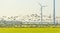 Birds flying over a field with wind turbines in sunlight at fall