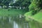 Birds flying over the water surface nature river and forest background green rainy season.