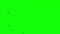 Birds on the green screen