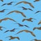 Birds Gulls Seamless