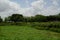 Birds harvesting salad field in cordiliera dominican mountains